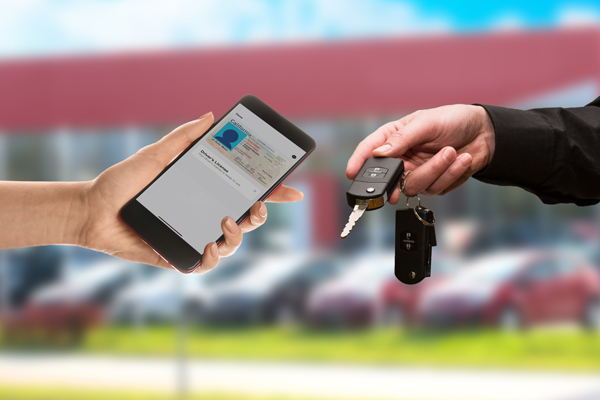 Car Rentals
